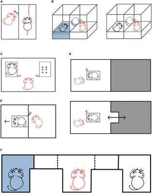 Why help others? Insights from rodent to human early childhood research